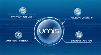 上?；ヂ摼W軟件集團 高端協同管理軟件產品和咨詢服務提供商